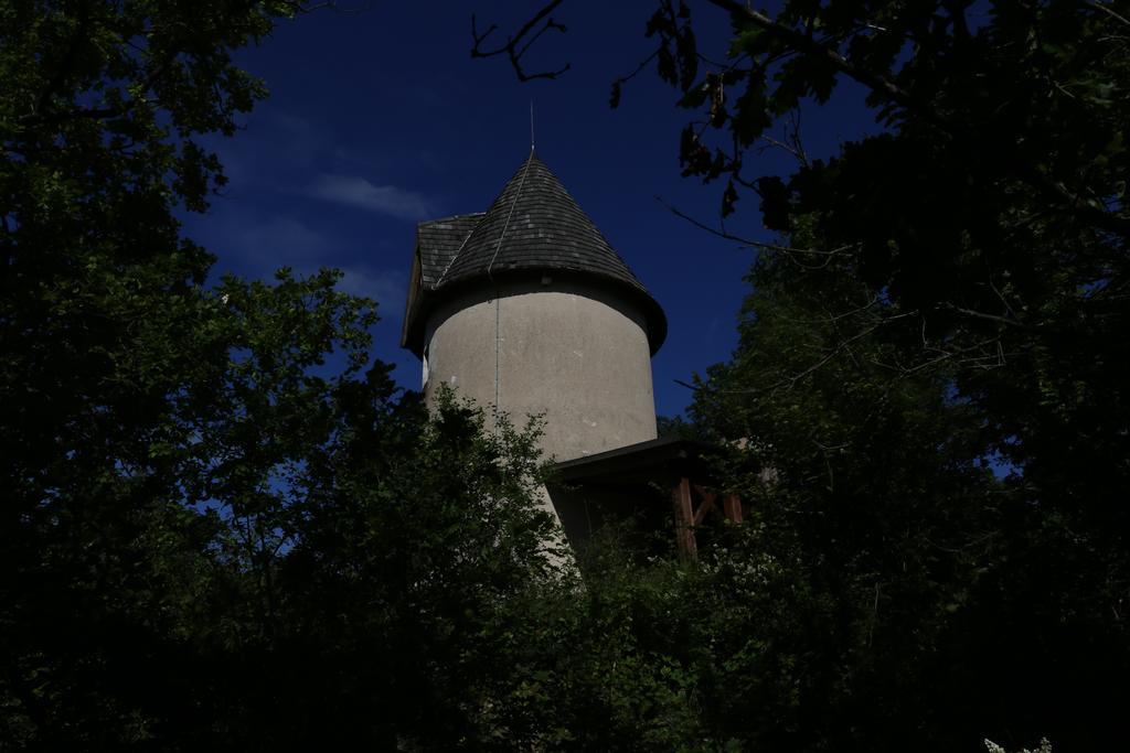 Moulin De Rouze Vila Castelnaud-de-Gratecambe Quarto foto