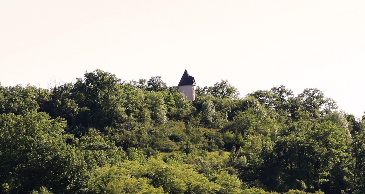 Moulin De Rouze Vila Castelnaud-de-Gratecambe Exterior foto